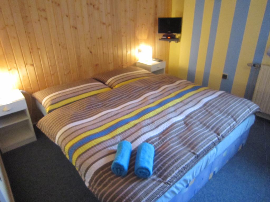 Dueto Otel Harrachov Oda fotoğraf